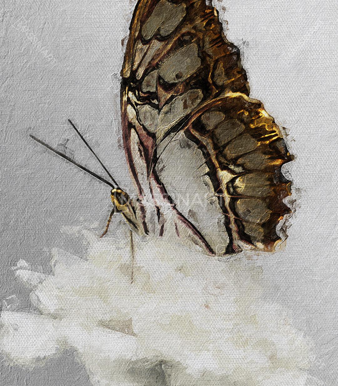 Tableau décoratif Rebirth - Décoration triptyque - Massinart.ma  décoration murale au Maroc